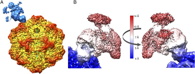 Fig. 4.