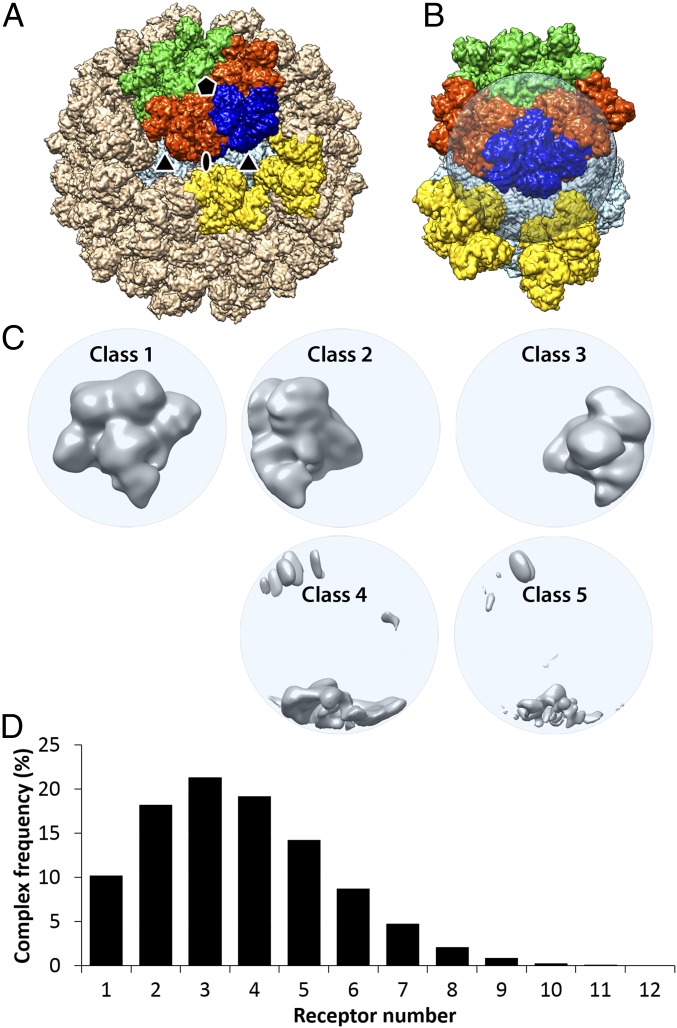 Fig. 3.