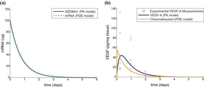 Figure 5