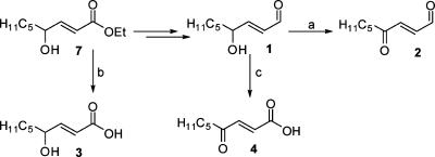 Scheme 2