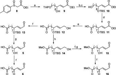 Scheme 3