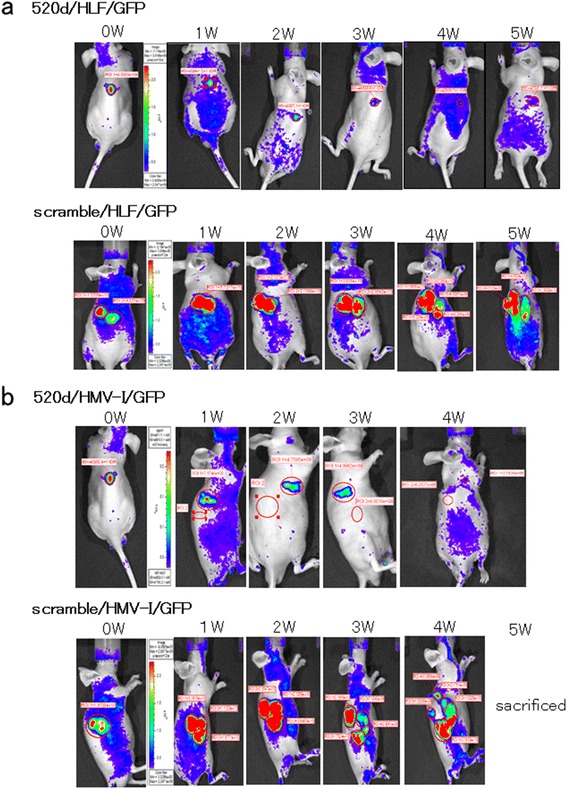 Fig. 4