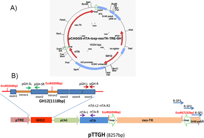 Figure 10