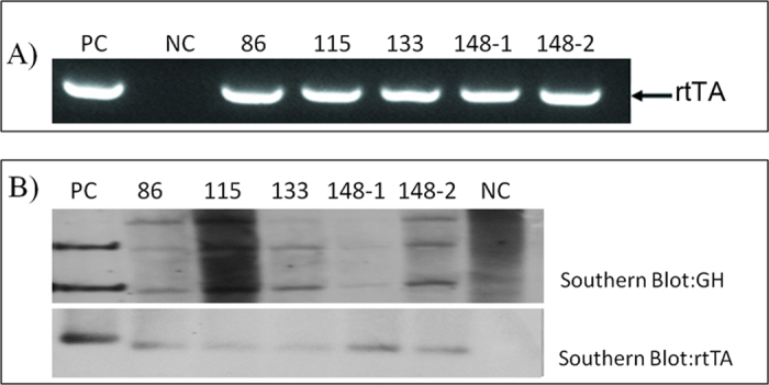 Figure 4