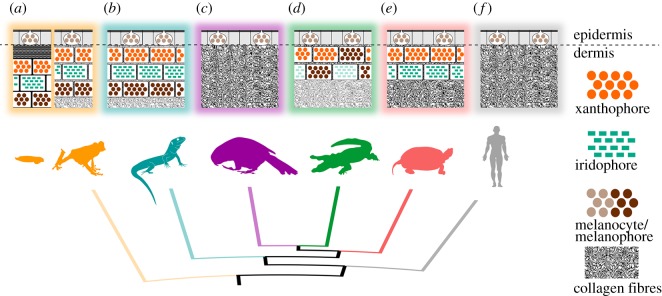 Figure 16.