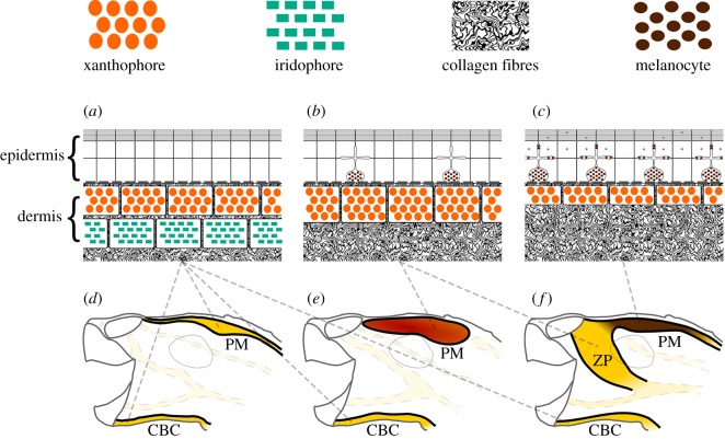 Figure 10.