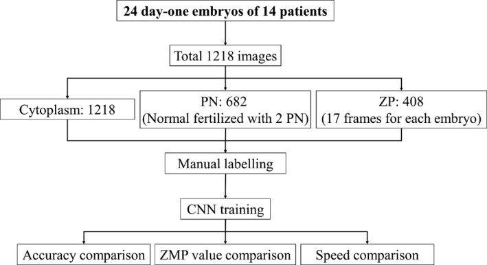 FIGURE 1