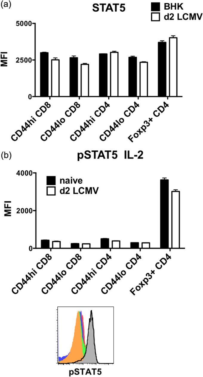 FIG 7