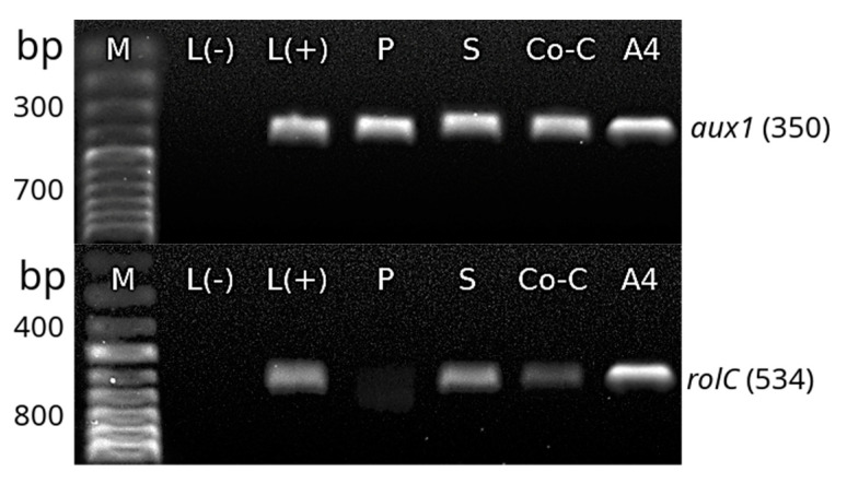 Figure 6