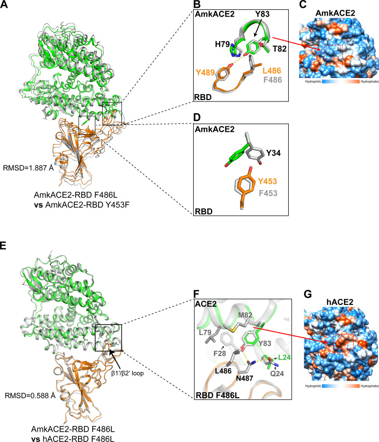 FIG 4