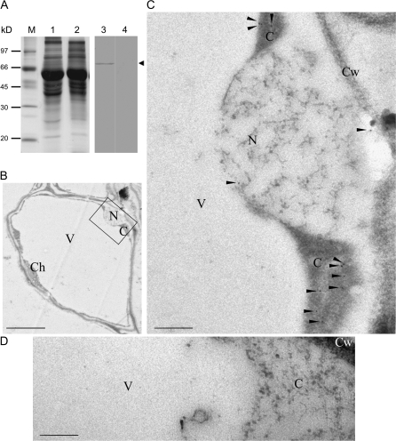 Fig. 3.