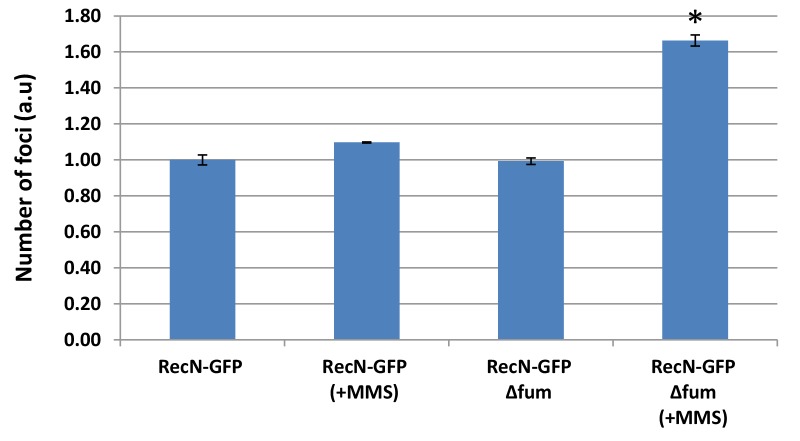 Figure 4—figure supplement 1.