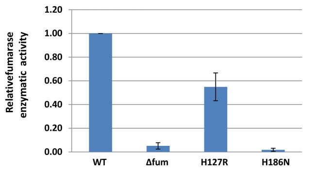 Figure 3—figure supplement 2.