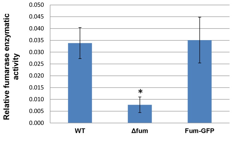 Figure 2—figure supplement 2.