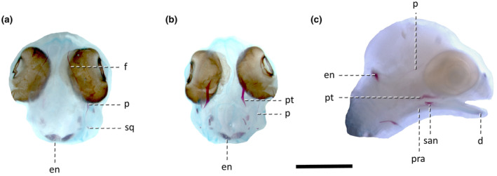 FIGURE 3