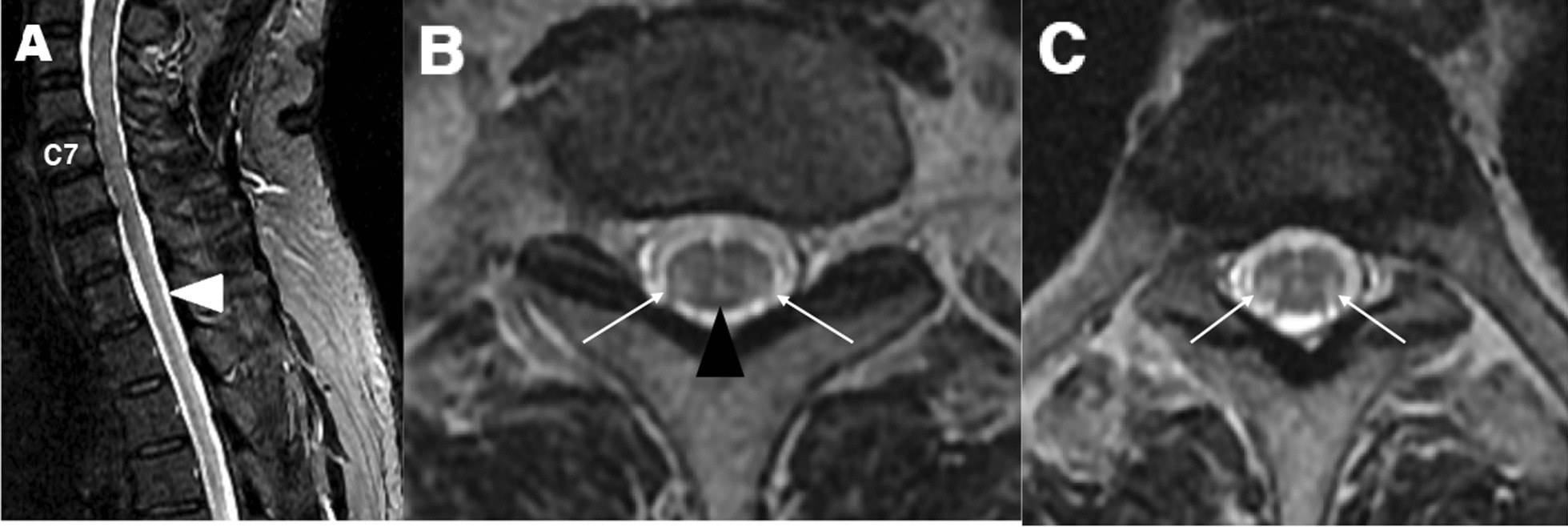 Fig. 3