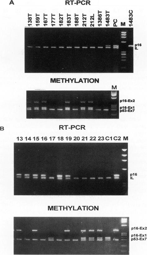 Figure 3. A