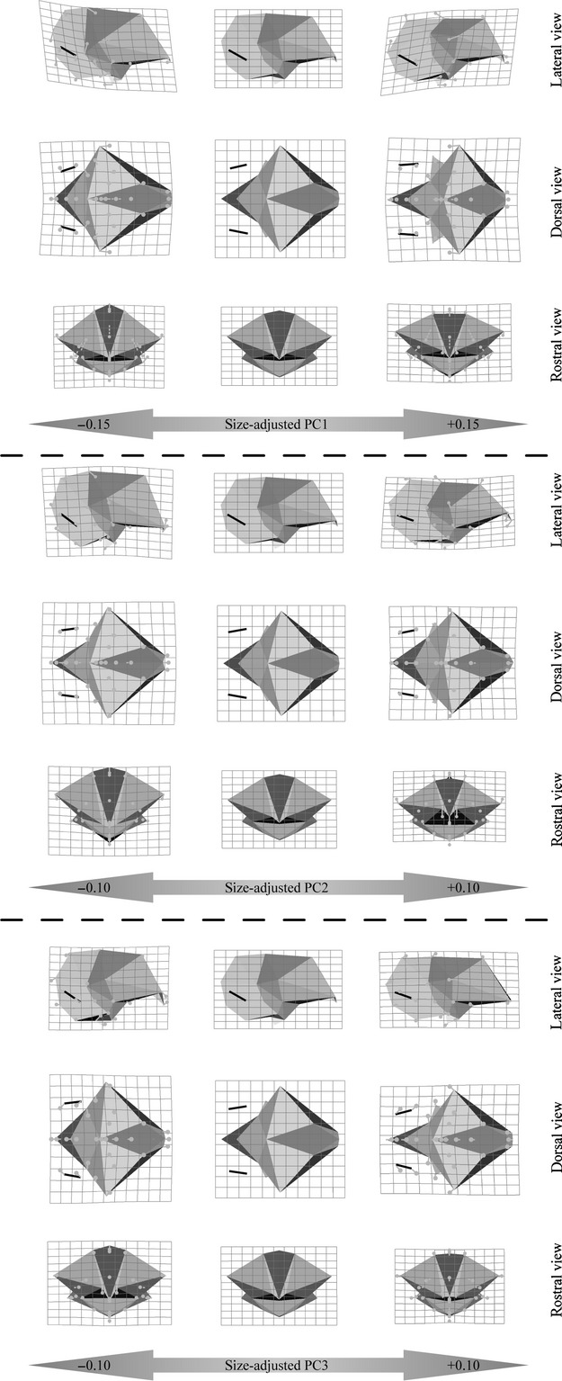 Fig. 5