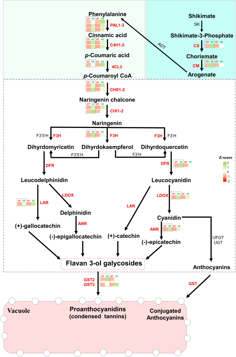 Figure 5