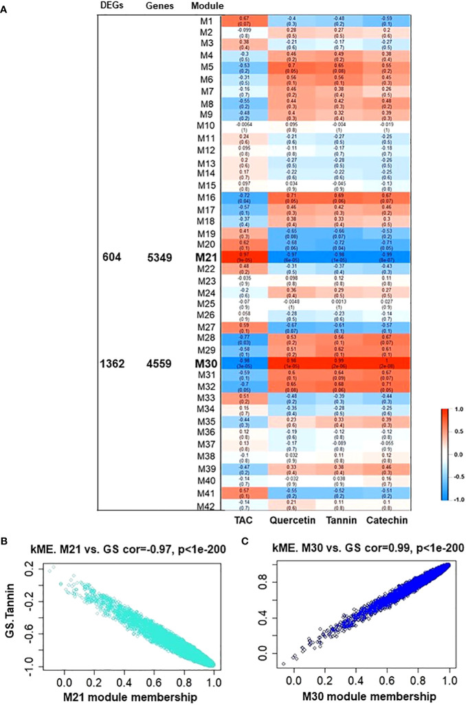 Figure 4