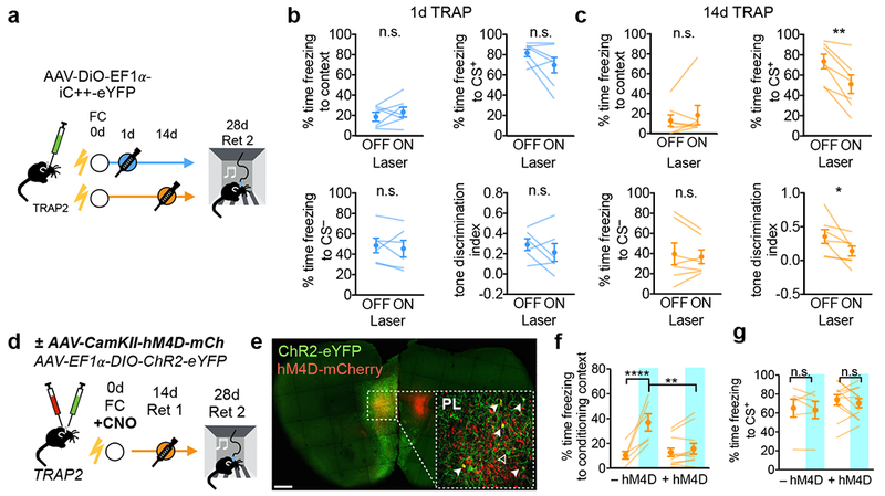 Figure 4: