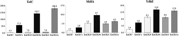 Figure 1.