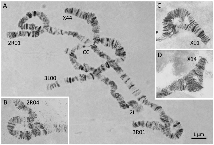 Figure 4