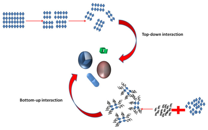 Figure 6