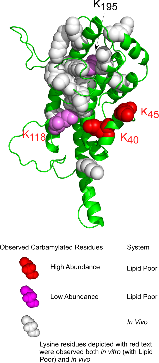 Figure 9