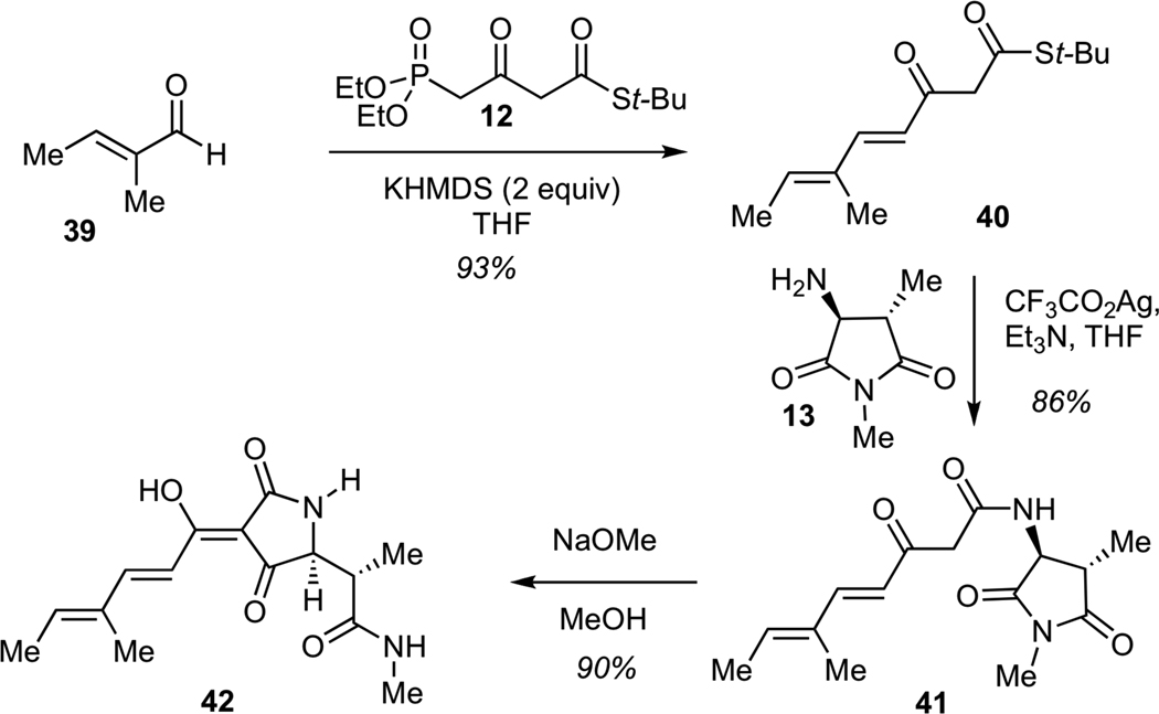 Scheme 8