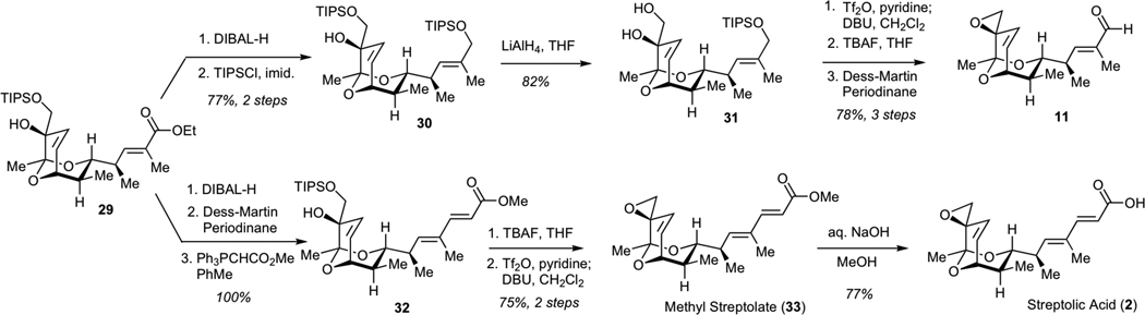 Scheme 6