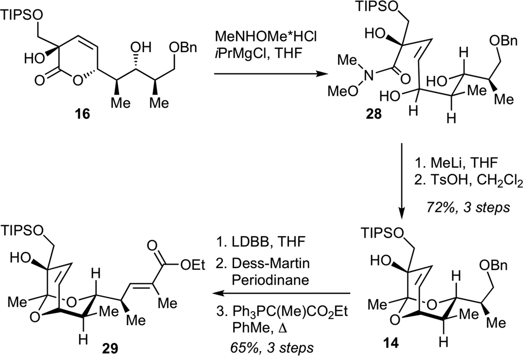 Scheme 5