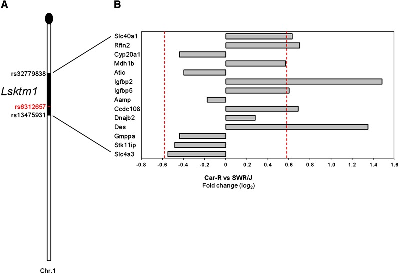 Figure 3 