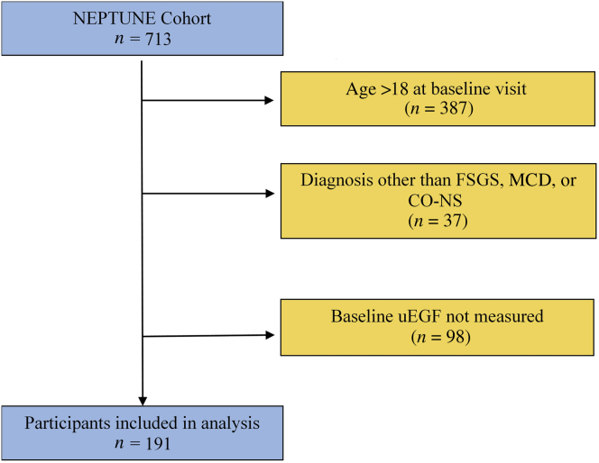 Figure 1