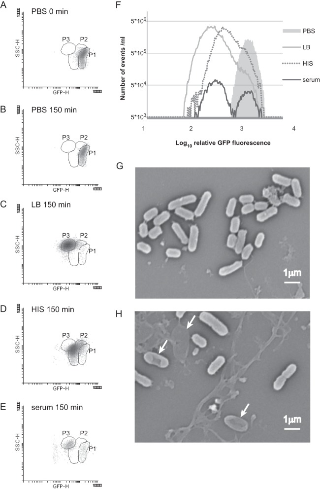 FIG 3