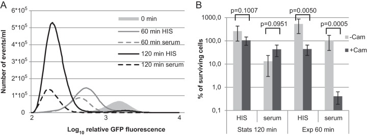 FIG 6