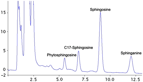 Fig. 1