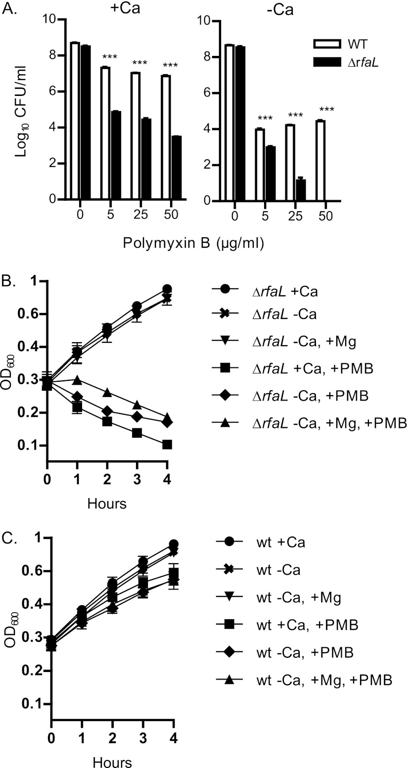 Fig 8