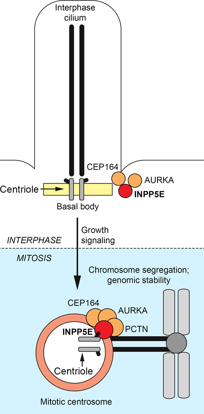 FIG 12