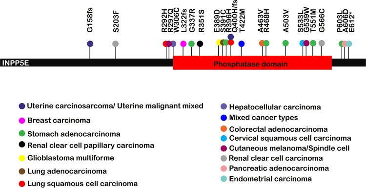 FIG 13