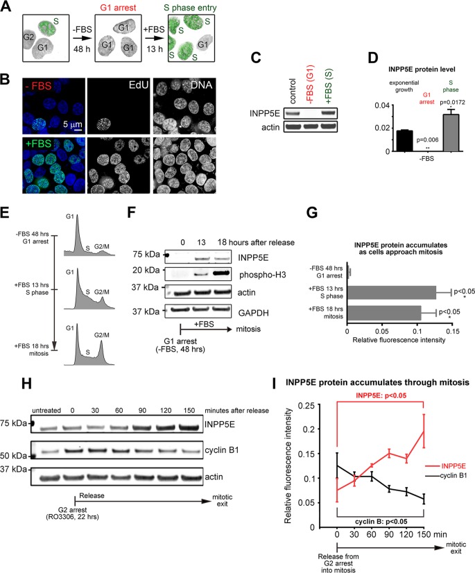 FIG 6