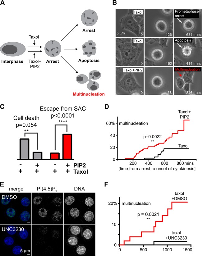 FIG 4