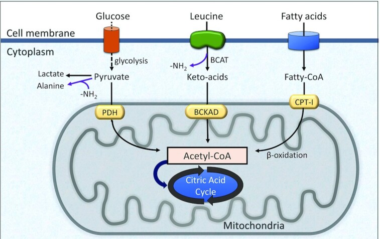 FIGURE 3