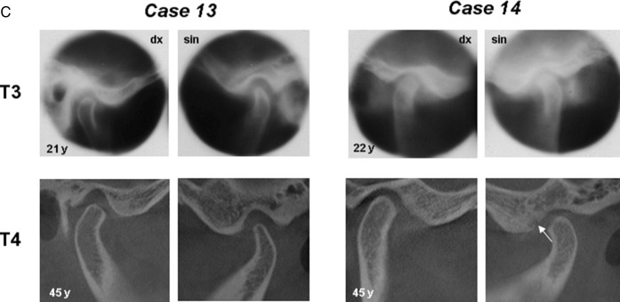 Figure 1. Continued.