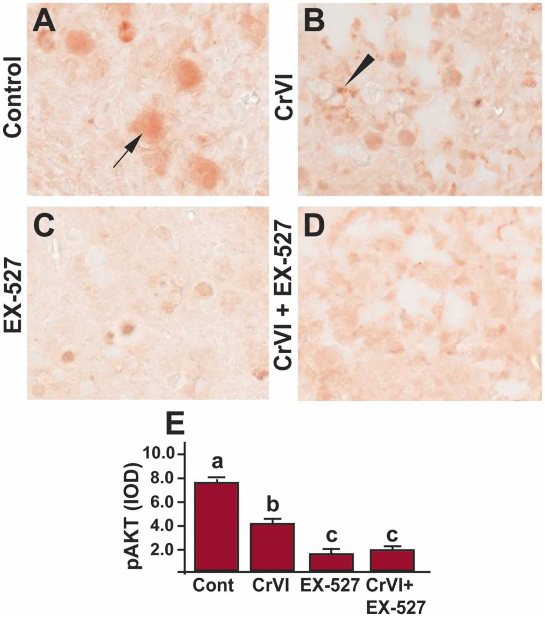 Fig. 8.