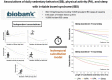 Image, graphical abstract