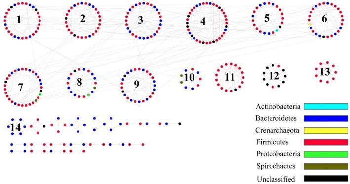 Figure 5