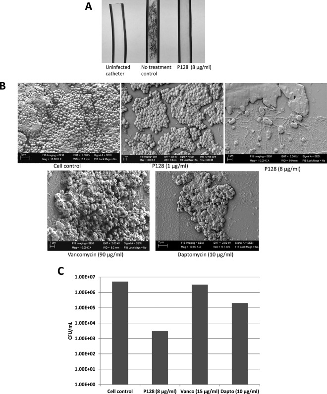 FIG 2