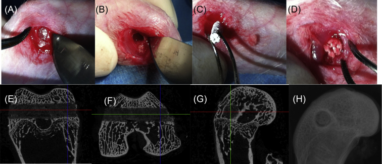 Figure 1