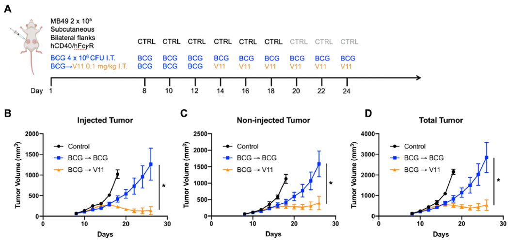 Figure 3: